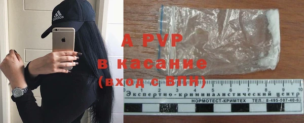 индика Абаза