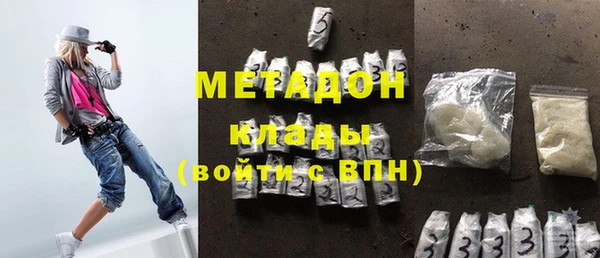 прущие грибы Алзамай