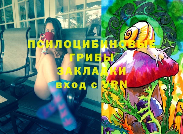 ECSTASY Алексин