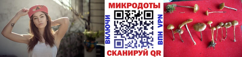ОМГ ОМГ маркетплейс  продажа наркотиков  Тотьма  Псилоцибиновые грибы мухоморы 